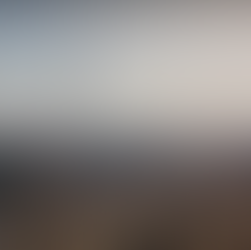 California High Speed Rail Construction Package 1 (CP 1)