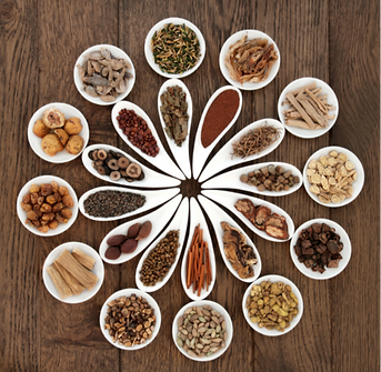 Functional Medicine Treatment in Santa Cruz_edited.png