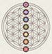 Logo - Flower of life and chakras