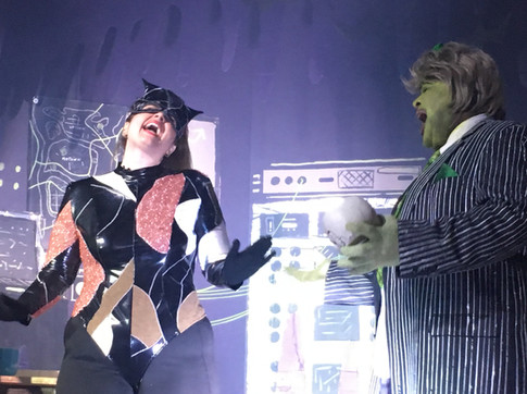 Catwoman and Max Shrek costumes