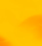 CD-Yellow-Background2.jpg