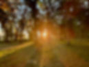 within-therapy-mindfulness.jpeg
