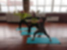 received_2714150078703670 (1).jpeg