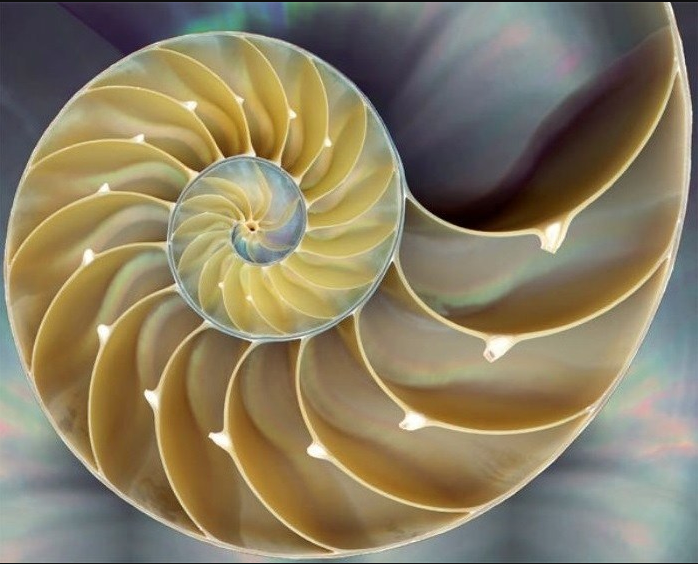 ree
