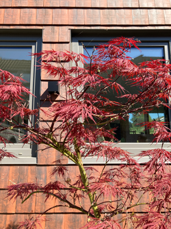 Tiny House in Odsherred