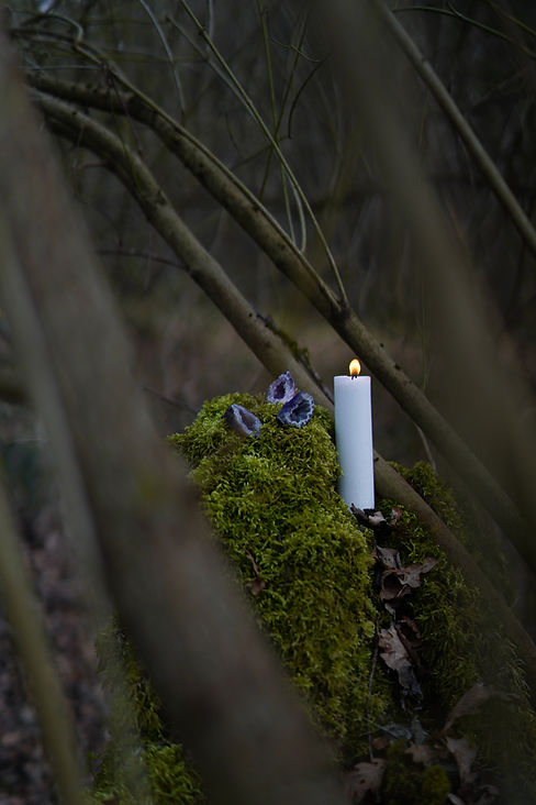 crystals_and_candle_on_log_portrait_1.jpg