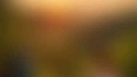 Arkansas Sunrise Ozark Mountains