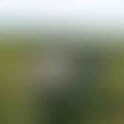 Arkansas Crystal Bridges Museum 