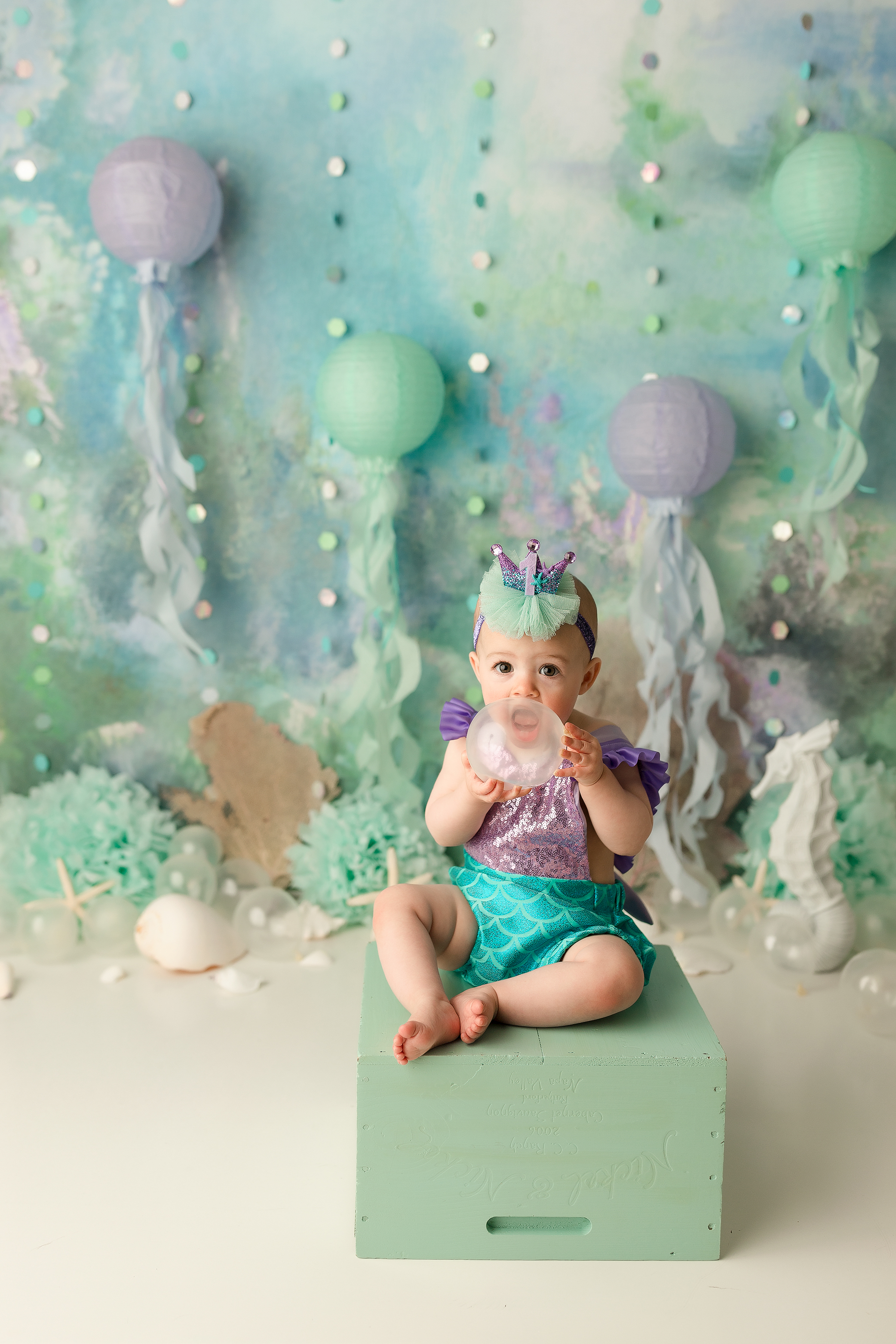 Cake Smash Deluxe Session Under The Sea Sara Pope Photography Bay Area Ca
