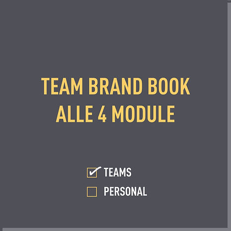 TEAM BRAND BOOK ALLE 4 MODULE.jpg