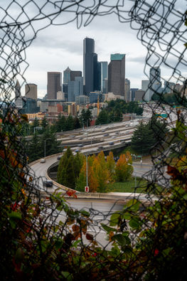 Freeway Skyline.jpg