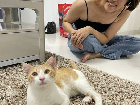 Drew and his forever home!