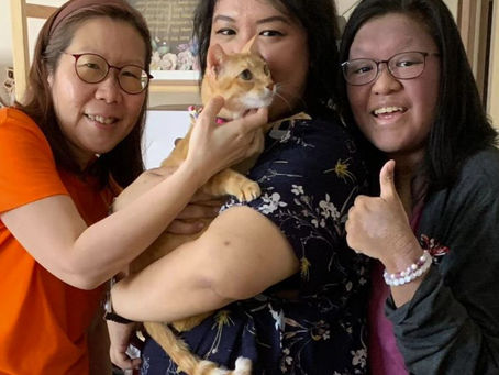 Adoption confirmation for Sweet Mango😸