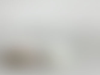 Fotografiereis - Oog in oog met de zeehonden van Düne