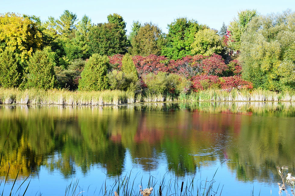 トロント近郊　不動産　Aurora