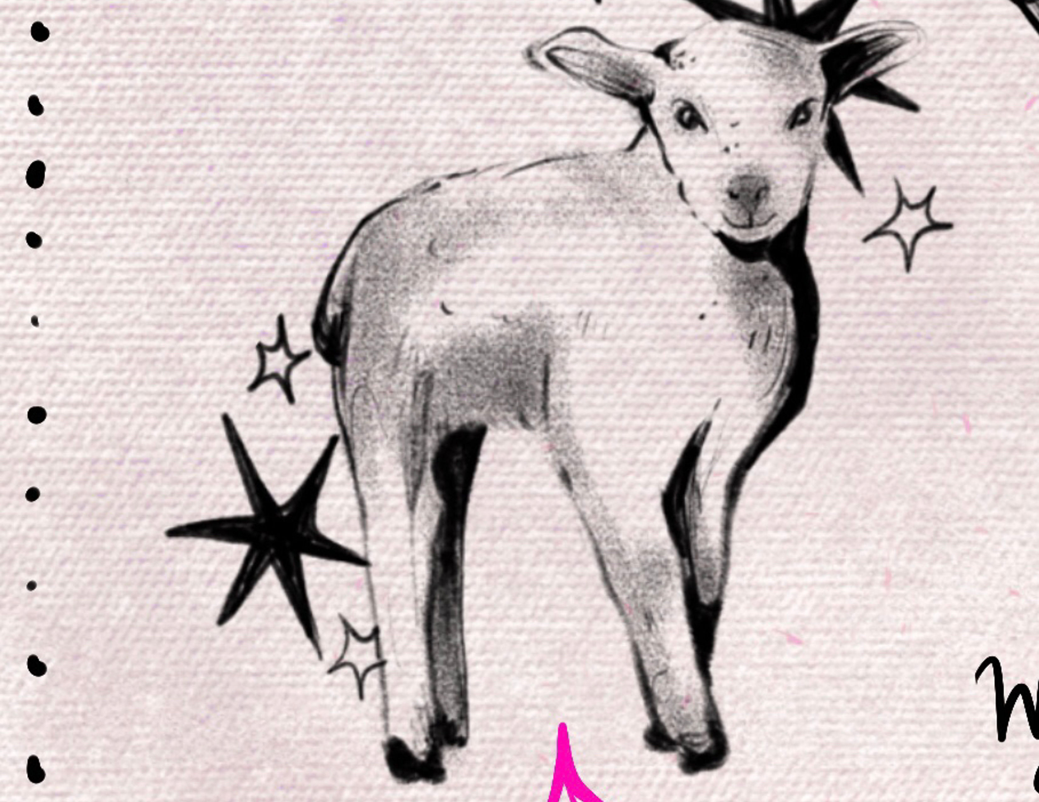 Lamb - MIKKI