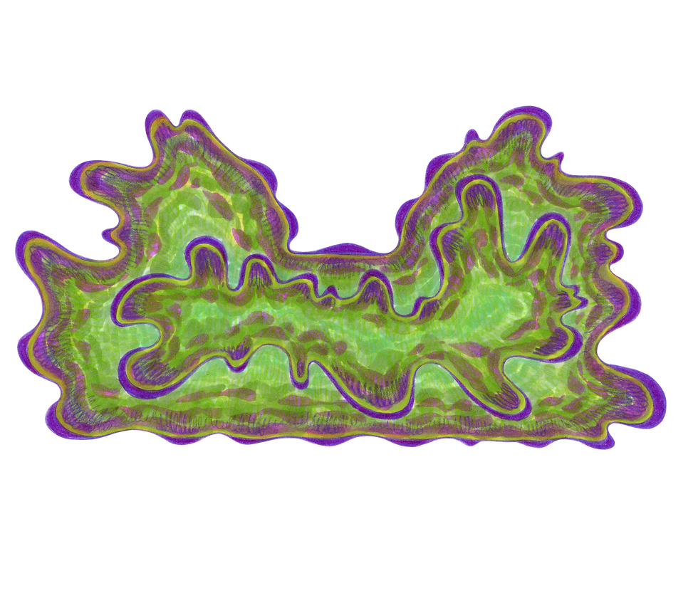 20260529_043037000_iOS.png