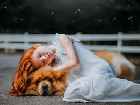 Tko su visoko osjetljiva djeca? Saznaj po čemu su posebna i kako ih prepoznati