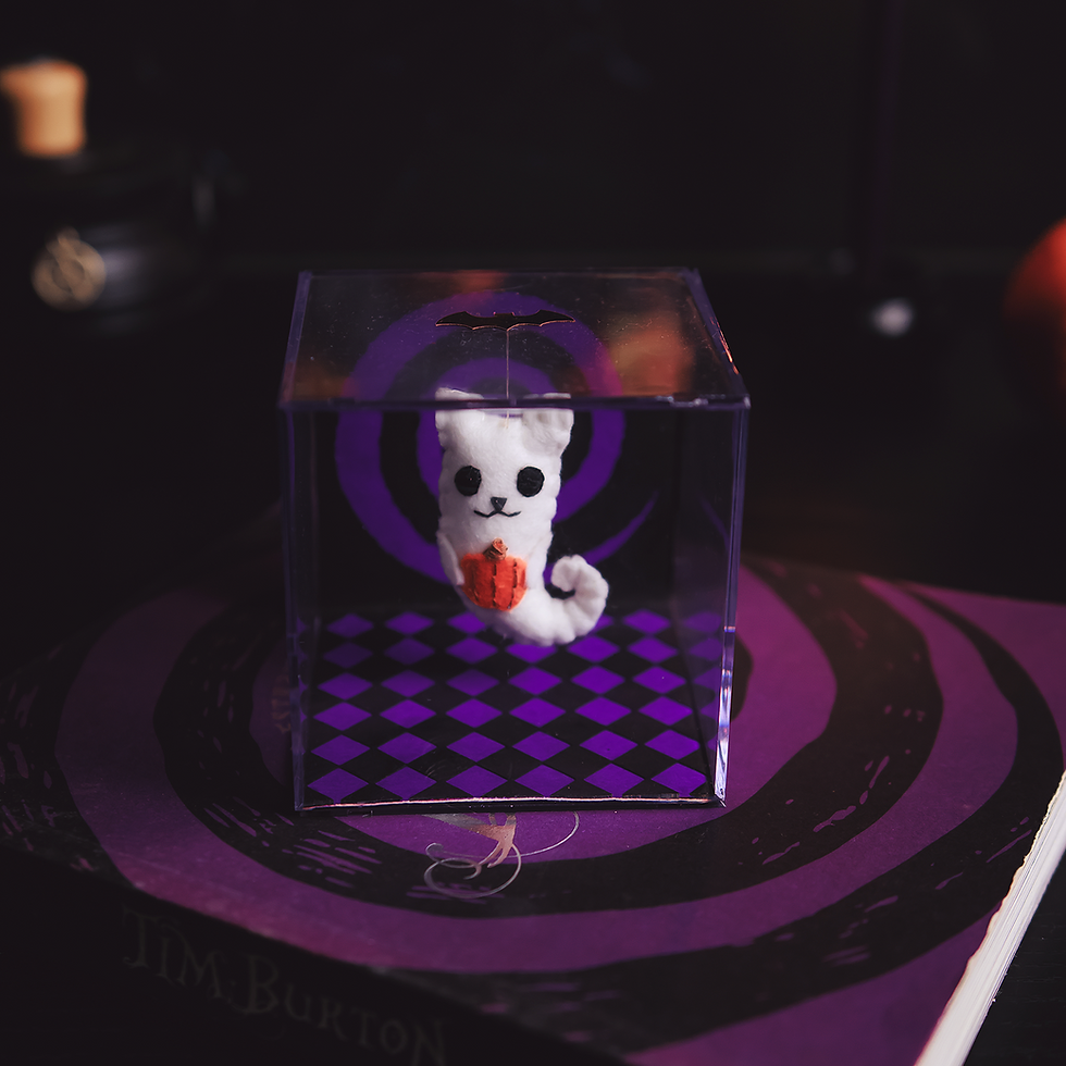 Miniatura: Box Cat Boo