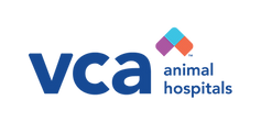 VCA Logo Blue RGB.png.png