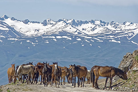 kyrgyzstan-4675649_1280.jpg