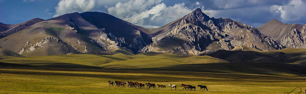kyrgyzstan-7848050_1280.jpg