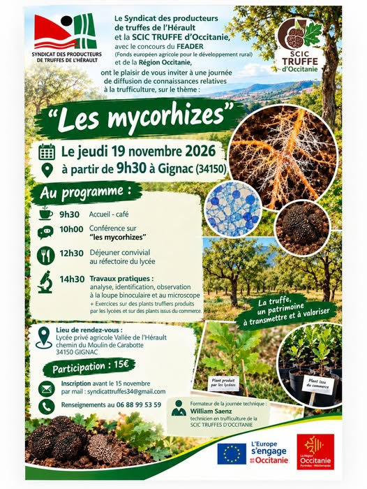 affiche les mycorhizes.jpg