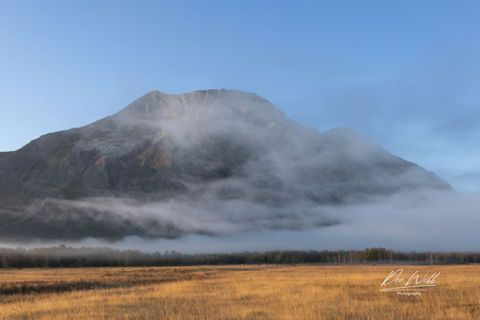 Vimmy fog, L2326, 8x12.jpeg