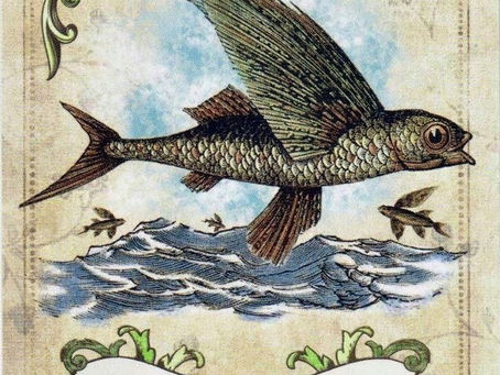 #1 Teste sua interpretação: arranja emprego até Outubro?