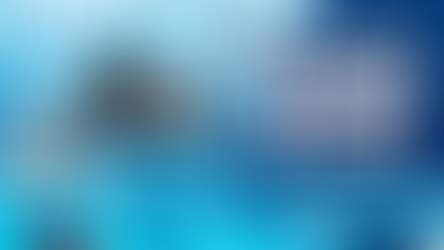 Winter Break Swim Practice Sign Up!