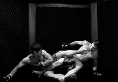 Incontro di wrestling