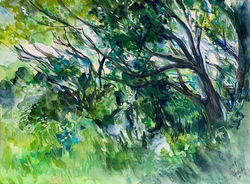木々／trees