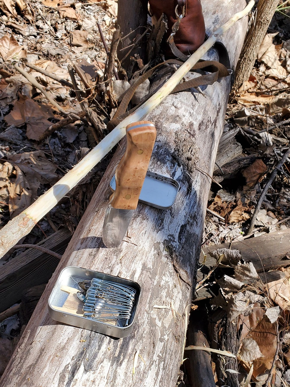 91355141_10220172515737447_2990025664469