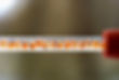 Fischeier Pipette.jpg