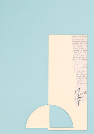 _V0A8858 rit.cut.jpg