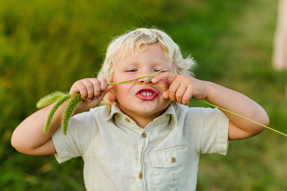 Little boy plays with grass.