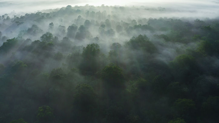 DJI_0414-00012022.jpg