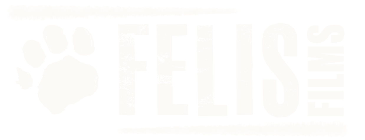 2021_Felis Logo_Rectangle copy.gif