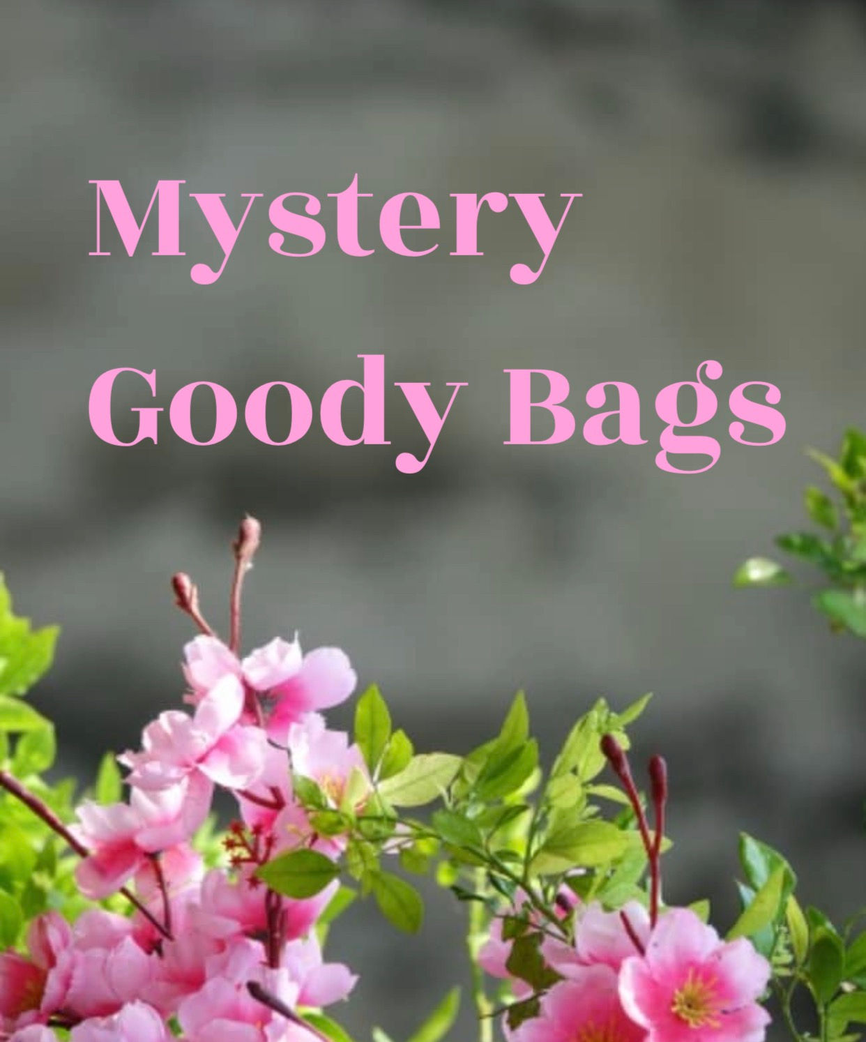 Mystery Goody Bag One