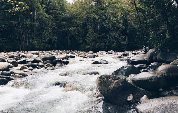 Stoney River
