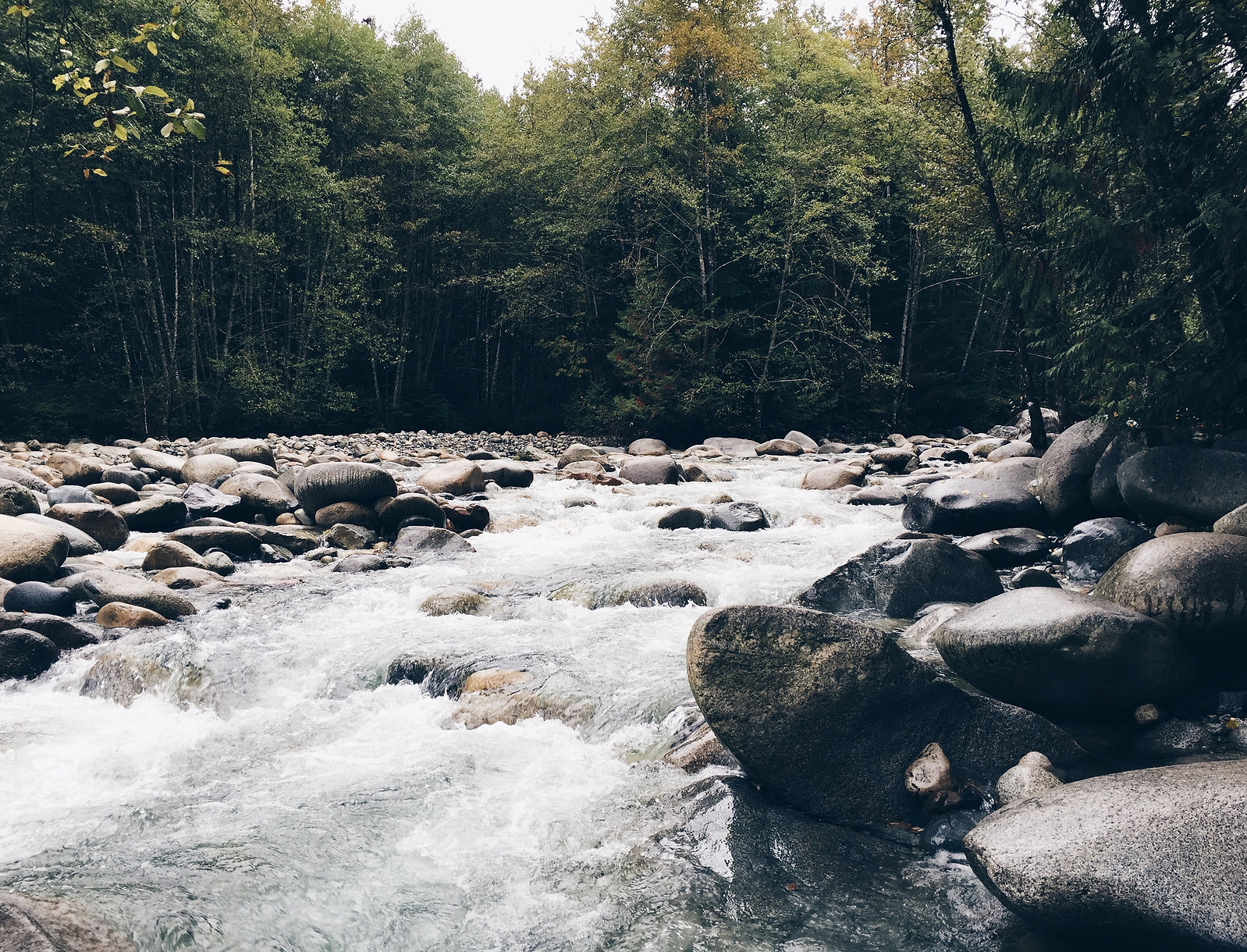 Stoney River