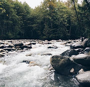 Stoney River