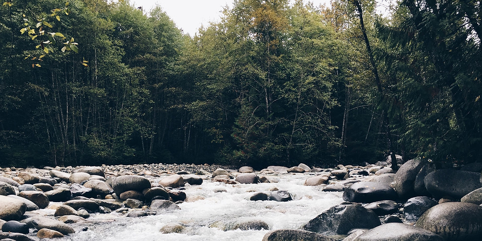 Webinar Series I: Primer on Climate Governance
