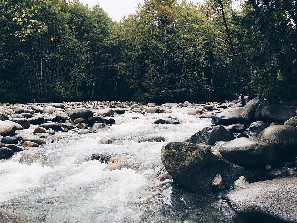 Fluss mit Felsen