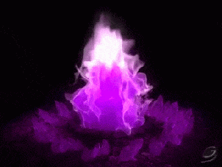 1cdbd16e7ab8f250-llama-violeta-animated-