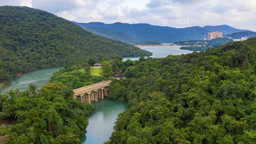 New Year Weekend Hike in Tai Tam Country Park