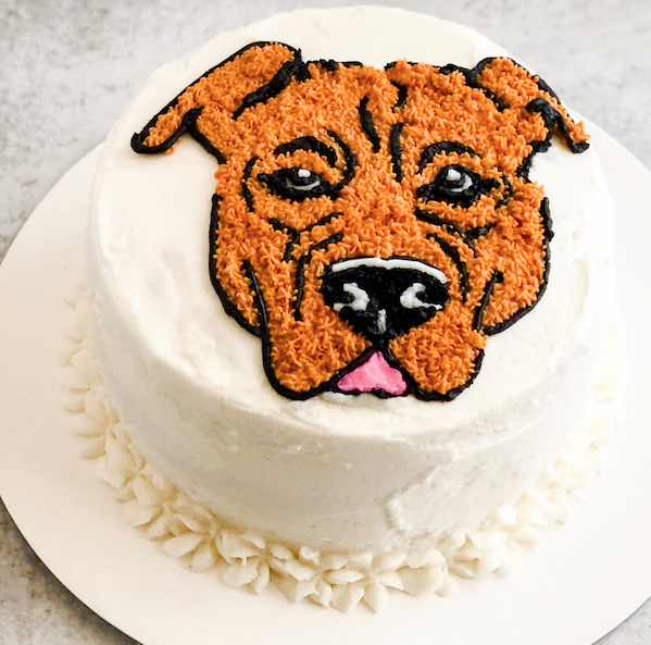 Pitbull Cake