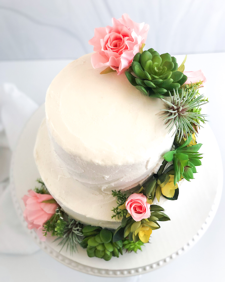 Succulent Cake