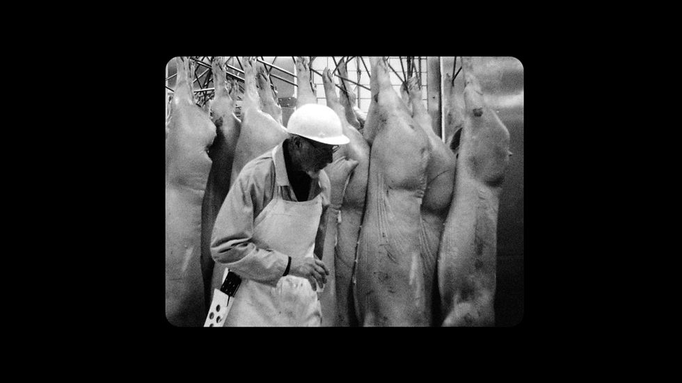 Fleshwork_Still3.jpg