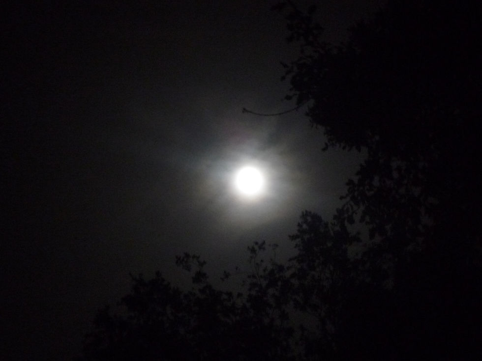 Hechizo de luna